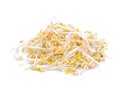 Bean sprouts isolated on white backgroun Royalty Free Stock Photo