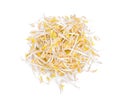 Bean sprouts isolated on white background, top view Royalty Free Stock Photo