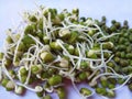 Bean sprouts with Mungbean