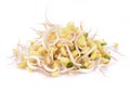 Bean sprouts, soybean sprouts on white background Royalty Free Stock Photo