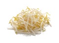 Bean Sprouts