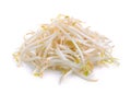 Bean Sprouts on White Background Royalty Free Stock Photo