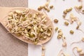 Bean sprouts. White background. Wooden spoon. Spread beans Royalty Free Stock Photo