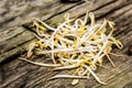 Bean sprouts on a wooden bench