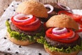 Bean veggie burgers with vegetables close-up. Horizontal Royalty Free Stock Photo