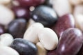 Multi-colored beans on a white background. Red and white beans in a background