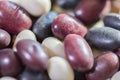 Multi-colored beans on a white background. Red and white beans in a background