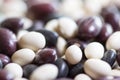 Multi-colored beans on a white background. Red and white beans in a background