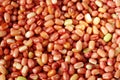 Beans Royalty Free Stock Photo