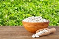 Beans in bowl with field of beans on the background