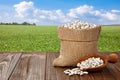 beans in burlap bag and in wooden scoop on table with green field on the background