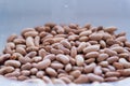 Beans close up Royalty Free Stock Photo