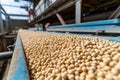Beans in Factory Royalty Free Stock Photo