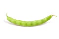 single green bean pod