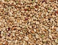 Beans grains Royalty Free Stock Photo