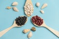 Beans, legumes, Mediterranean diet, spoon dishes