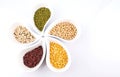 Beans and Lentils Variety IV Royalty Free Stock Photo