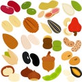 Beans, Nuts, Seeds Royalty Free Stock Photo