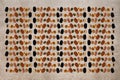 Beans, pulses and lentils isolated on hessian background. Patter