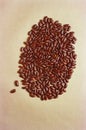 Beans, red kidney, rajma, India Royalty Free Stock Photo