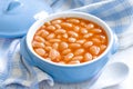 Beans in sauce Royalty Free Stock Photo