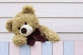 Brown cute teddy bear