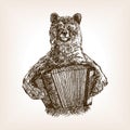 Bear with accordion sketch vector illustration