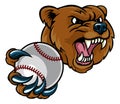 Bear Holding Baseball Ball Royalty Free Stock Photo