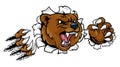 Bear Angry Mascot Background Claws Breakthrough Royalty Free Stock Photo