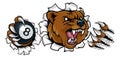 Bear Angry Pool 8 Ball Billiards Mascot Cartoon Royalty Free Stock Photo