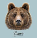 Bear animal face. Grizzly brown bear head portrait. Realistic fur portrait of bear on blue background