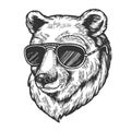 Bear animal in sunglasses sketch engraving vector