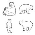 Bear Animal Vector Illustration Hand Drawn Cartoon Art