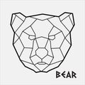 Abstract polygonal Geometric head of a Bear Vector