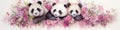 Wild asia animal background cute white black nature wildlife china panda bear