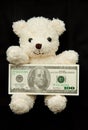 Bear with banknote