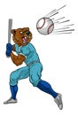 Bear Baseball Player Mascot Swinging Bat at Ball Royalty Free Stock Photo