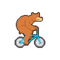 Bear on bicycle pixel art. pixelated Beast is riding bicycle. 8 bit Cartoon childrens illustration