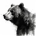 Bear In Black And White: A Minimalist And Realistic Approach