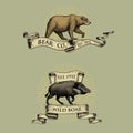 Bear and boar logos, emblems or badges with wild animals and banners or ribbons in vintage, retro old style, hand drawn Royalty Free Stock Photo