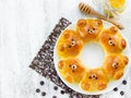 Bear bread buns Royalty Free Stock Photo