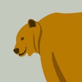 Bear brown flat style vector illustration profile
