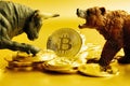 Bear and bull fighting over bitcoins against golden background