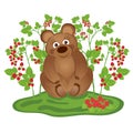 Bear in the bushes of raspberries