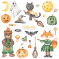 Watercolor set of Halloween animals with bear with candy jar, cat on broomstick, fox witch, witch hat, candy, moon, pumpkins,