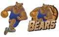 Bear cartoon basketball mascot