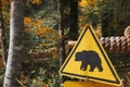 Bear caution yellow sign at autumn forest background. Wild animal danger concept