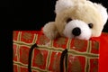 Bear in christmas bag