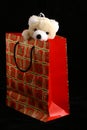 Bear in christmas bag