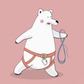 Bear-climber - polar bear in a rescue harness